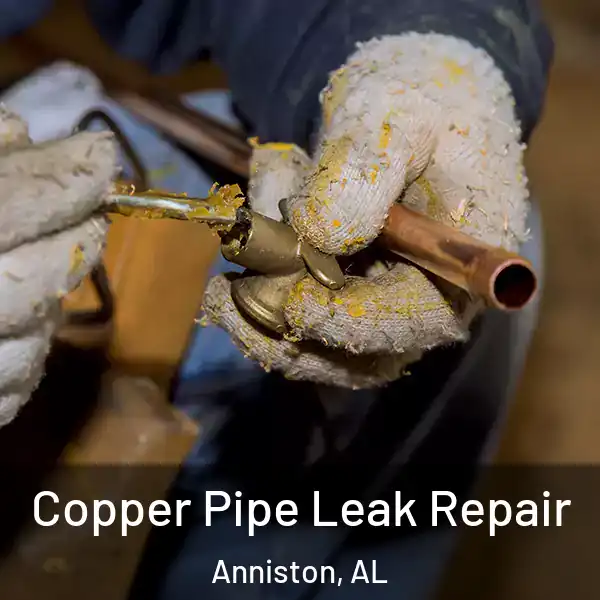  Copper Pipe Leak Repair Anniston, AL