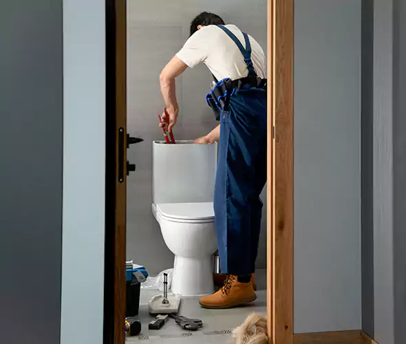 Professional Plumbers for Toilet Bowl Replacement in Anniston, AL: Schedule Affordable Toilet Replacement Services With Us