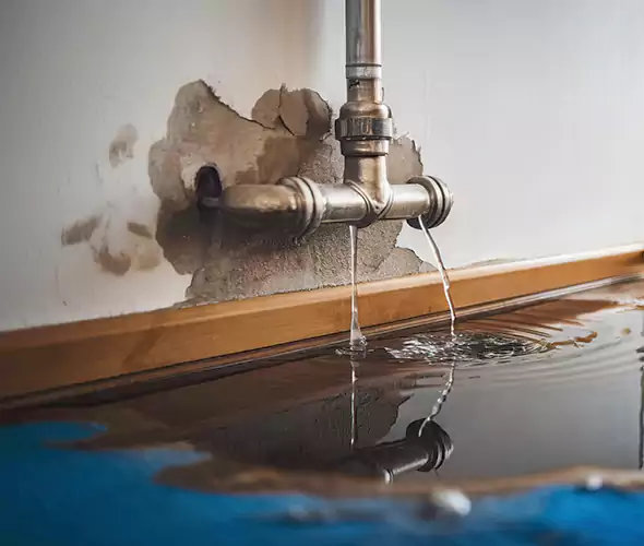 Professional Water Damage Restoration Experts in Anniston, AL — Fast, Reliable & Certified
