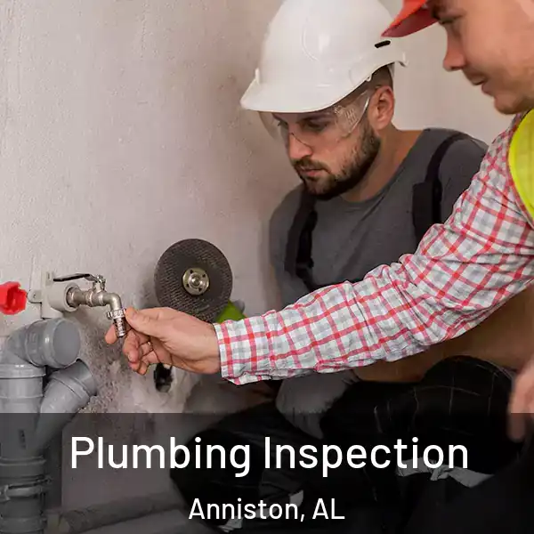  Plumbing Inspection Anniston, AL