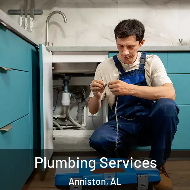  Plumbing Services Anniston, AL