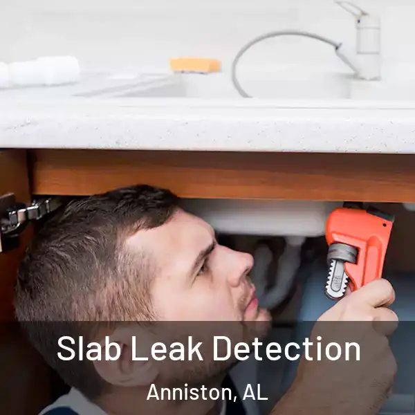  Slab Leak Detection Anniston, AL