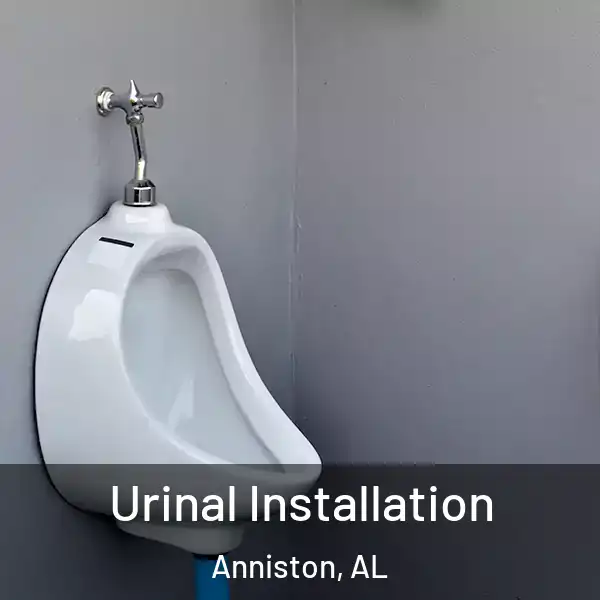  Urinal Installation Anniston, AL