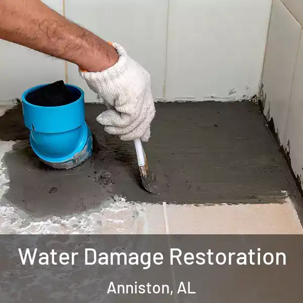  Water Damage Restoration Anniston, AL